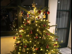 Vorschaubild für: AkkZente: Weihnachten in Kempen